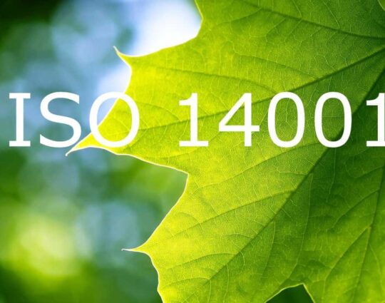 ISO-14001 hidalgo tx