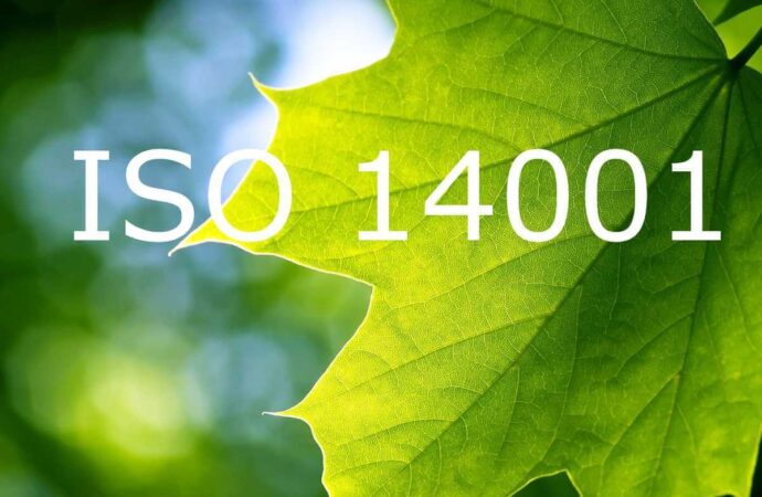 ISO-14001 hidalgo tx